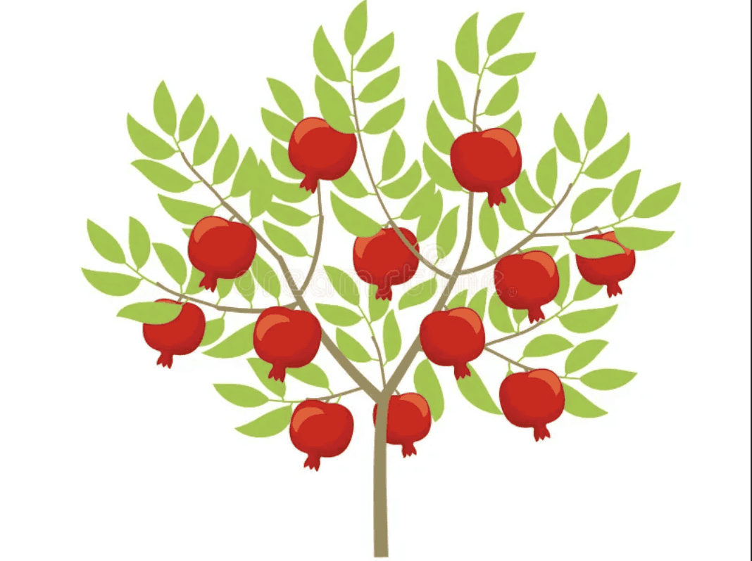 bible-tree